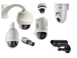 Protección y Custodia 86
