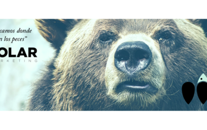 Polar Marketing